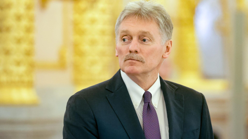 Песков прокомментировал строительство дороги через Лосиный остров